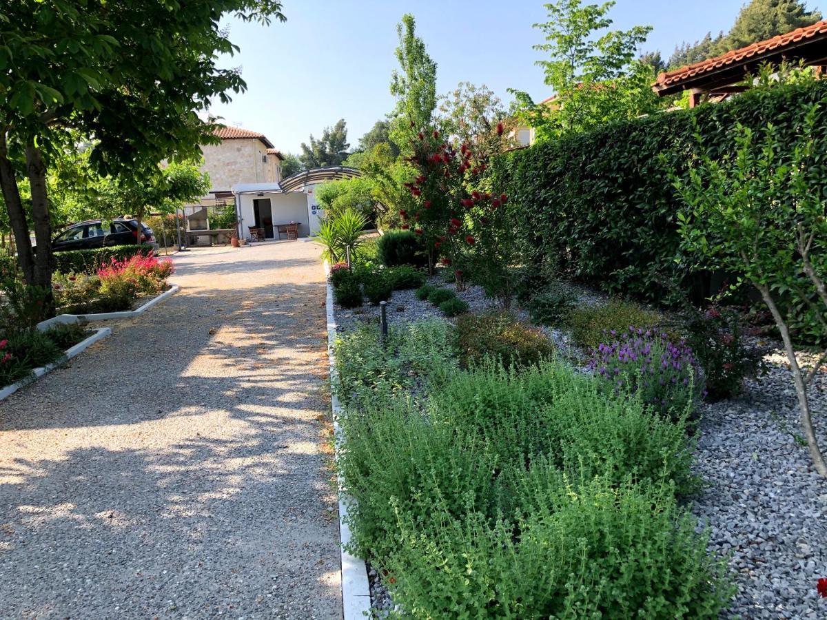 Pleiades Boutique Villas Kryopigi Exteriör bild