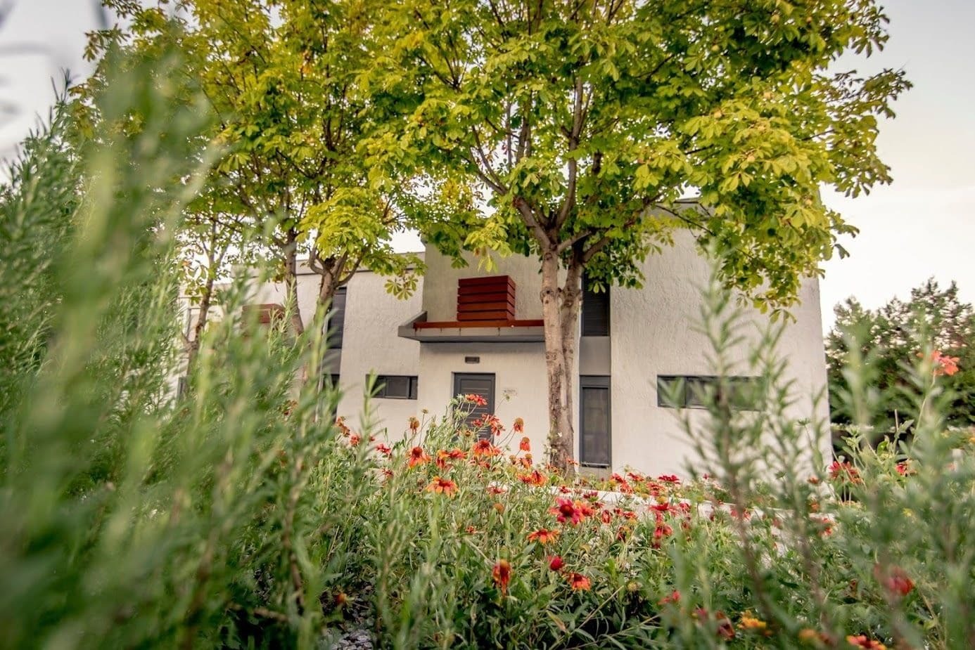 Pleiades Boutique Villas Kryopigi Exteriör bild